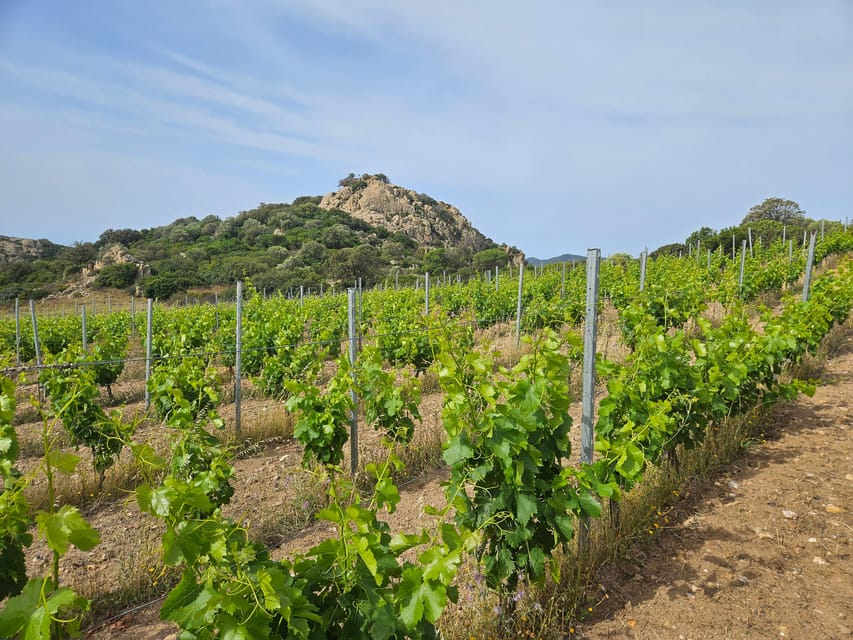 Cagliari: Traditional Cheese Making From Chia - Important Participant Information