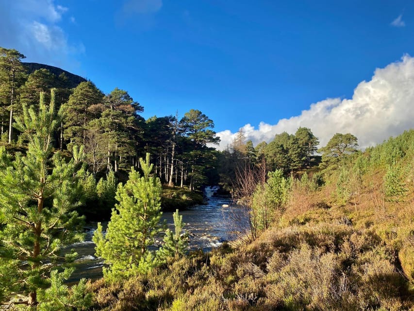 Cairngorms National Park: Mar Lodge Estate Guided Tour - Booking and Cancellation Policy