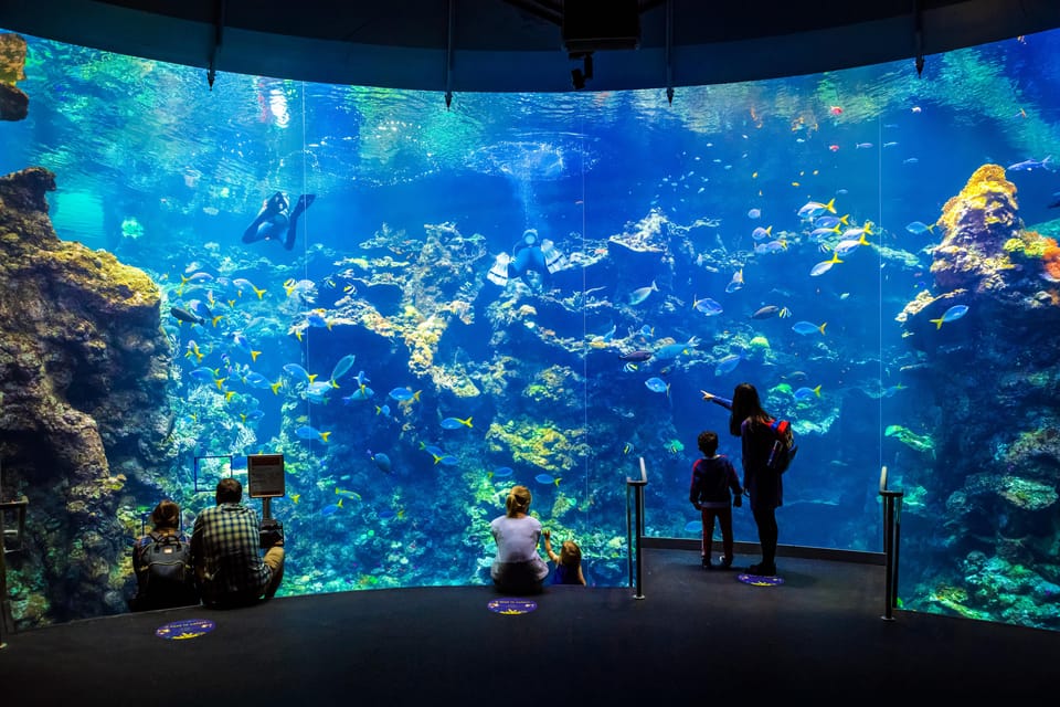 California Academy of Sciences With Golden Gate Park Tour - Nearby Dining Options