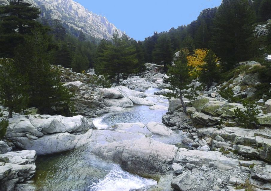 Calvi: Asco Valley 4x4 Day Tour With Guide - Tips for the Tour