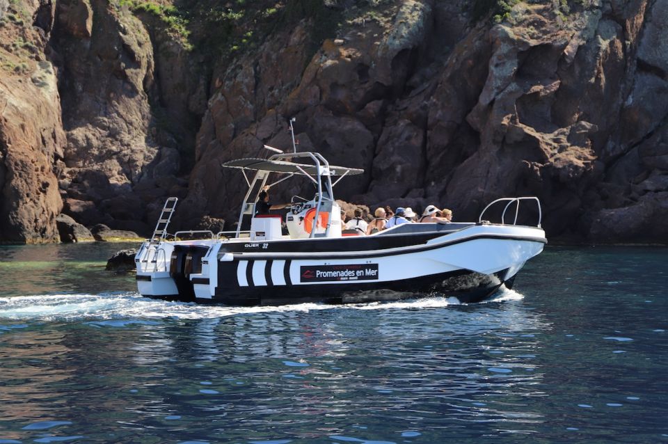 Calvi to Scandola: 4-Hour Boat Tour - Frequently Asked Questions