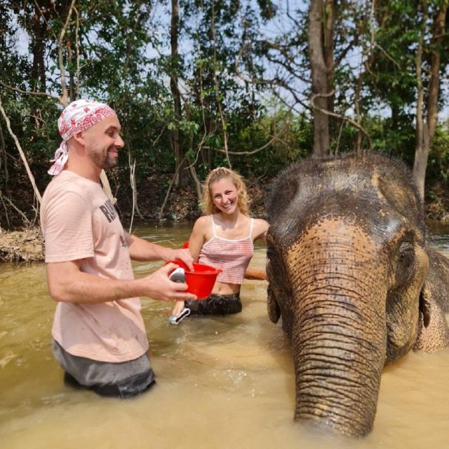 Cambodia Elephant Sanctuary and Banteay Srey Temple Tour - Important Information for Participants