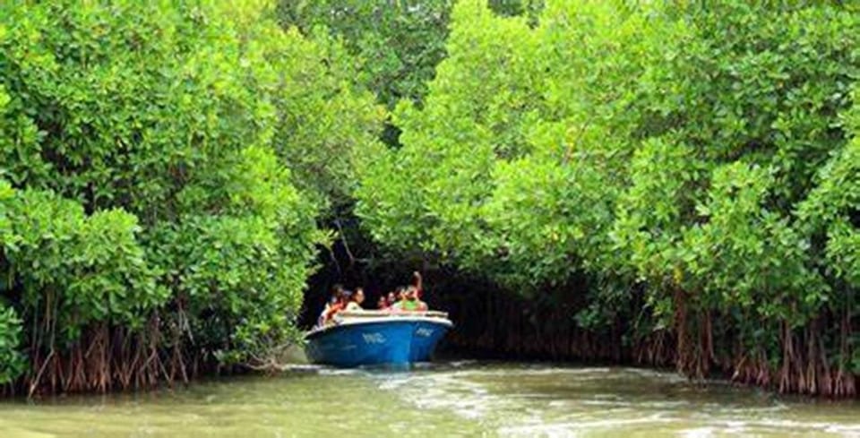 Can Gio Mangrove Forest 1 Day - Frequently Asked Questions