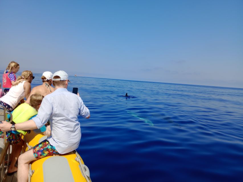 Can Picafort: Dolphin Watching Boat Tour With Swimming - Scenic Coastal Views