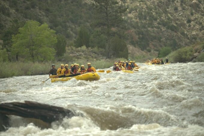 Cañon City: Bighorn Sheep Canyon Guided Rafting Adventure - What to Expect