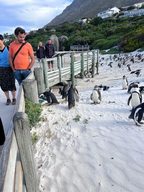 Cape of Good Hope and Penguins Full-Day Private Tour - Cape of Good Hope and Cape Point