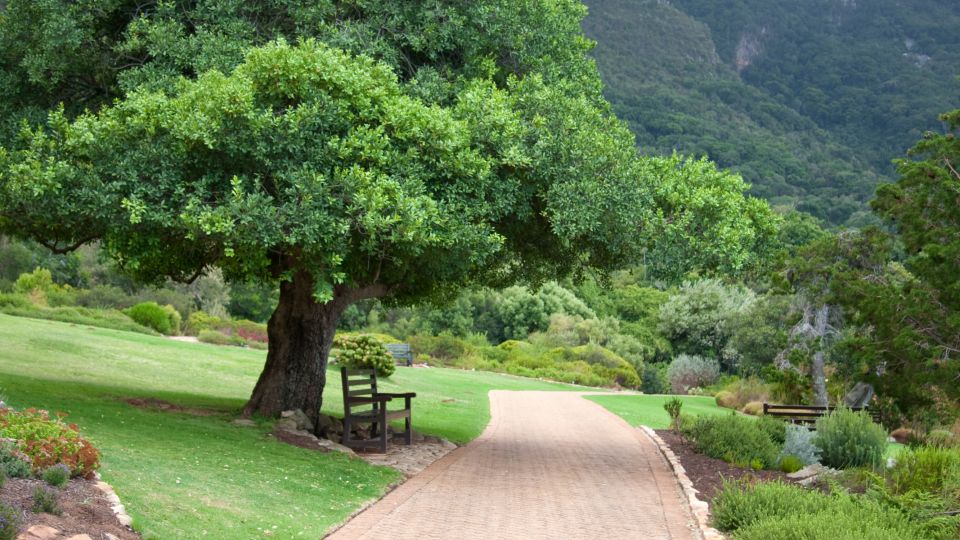 Cape Town City Tour: Table Mountain, Kirstenbosch & Wine - Included and Important Information