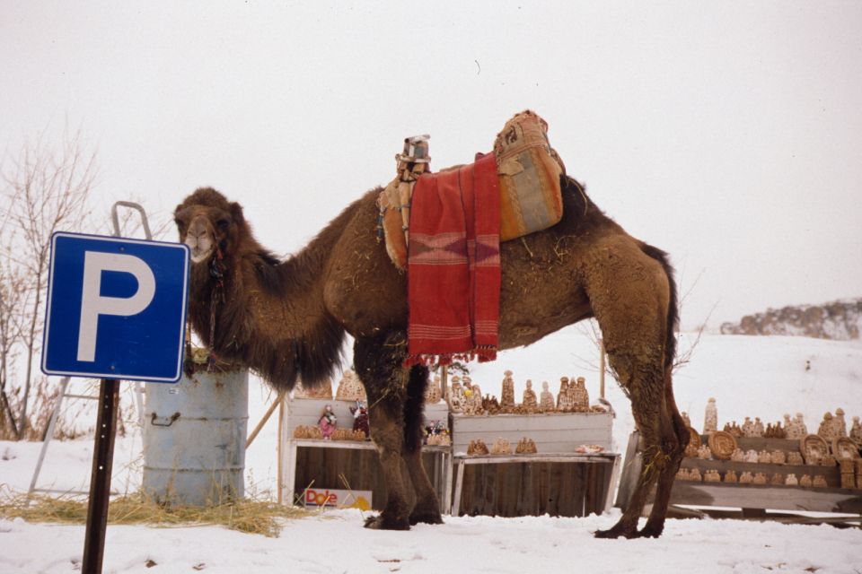 Cappadocia Group Tour - Recommendations for Travelers