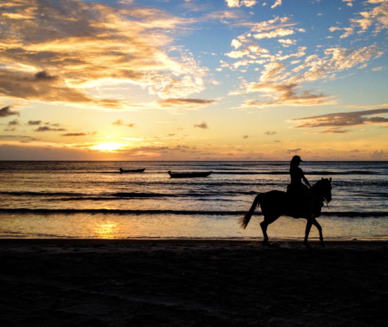 Cartagena: Horseback Riding on the Beach at Sunset - Local Culture and Eco-Tourism Insights