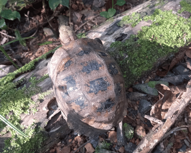 Cat Tien National Park With Crocodile Lake - Tips for Visitors