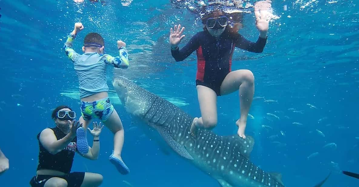 Cebu; Oslob Whaleshark Watching Day Tour - Responsible Interaction