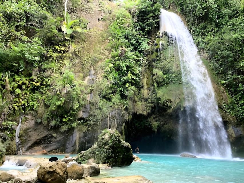 Cebu: Whale Shark Swim in Oslob & Aguinid Falls Canyoneering - Health Considerations