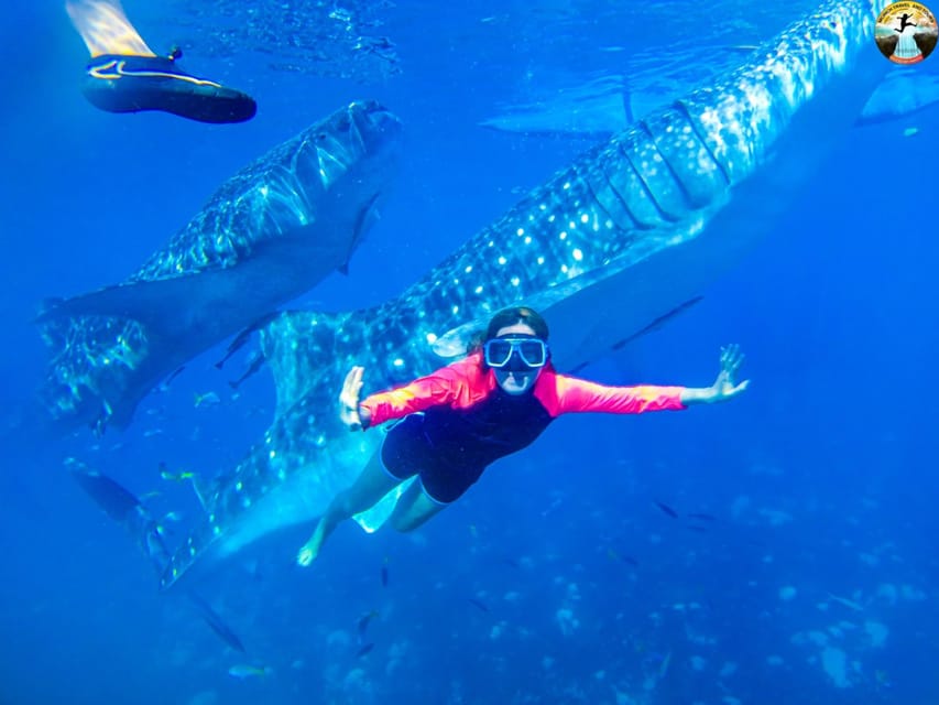 Cebu: Whale Shark Swimming & Kawasan Falls Canyoneering - Canyoneering at Kawasan Falls