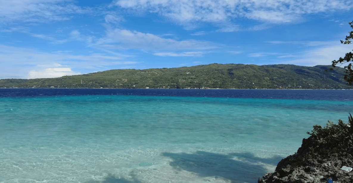 Cebu: Whale Shark Watching, Tumalog Falls & Sumilon Island - Frequently Asked Questions