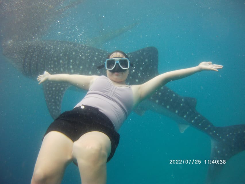 Cebu: Whaleshark , Kawasan Falls & Sardines Run Snorkeling - Inclusions and Additional Costs