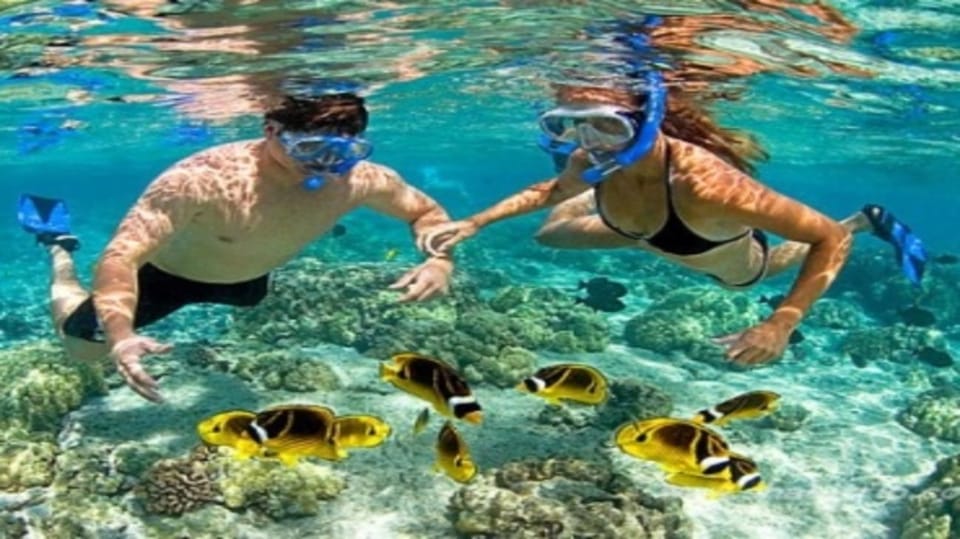 Cham Island on a Speedboat Snorkeling Tour From Da Nang - Inclusions and Amenities