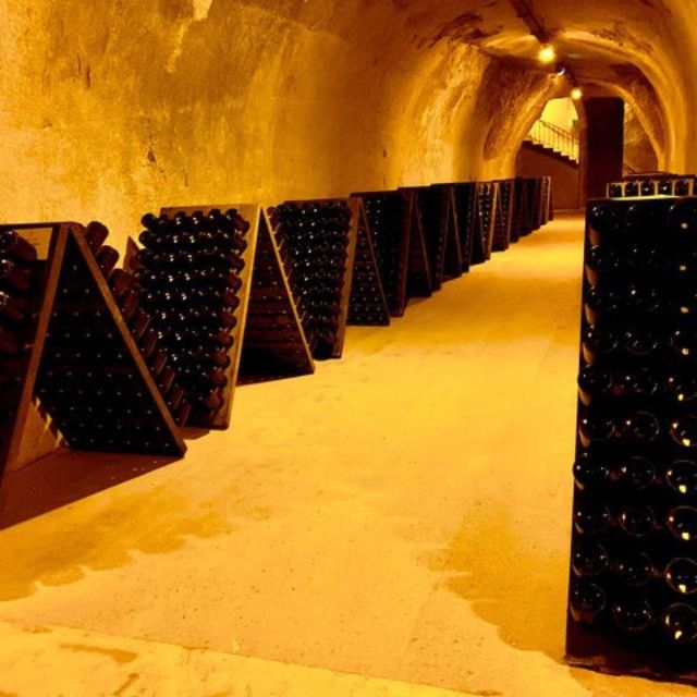 Champagne Region From Paris: Reims and Champagne Tasting - Guided Tour Insights