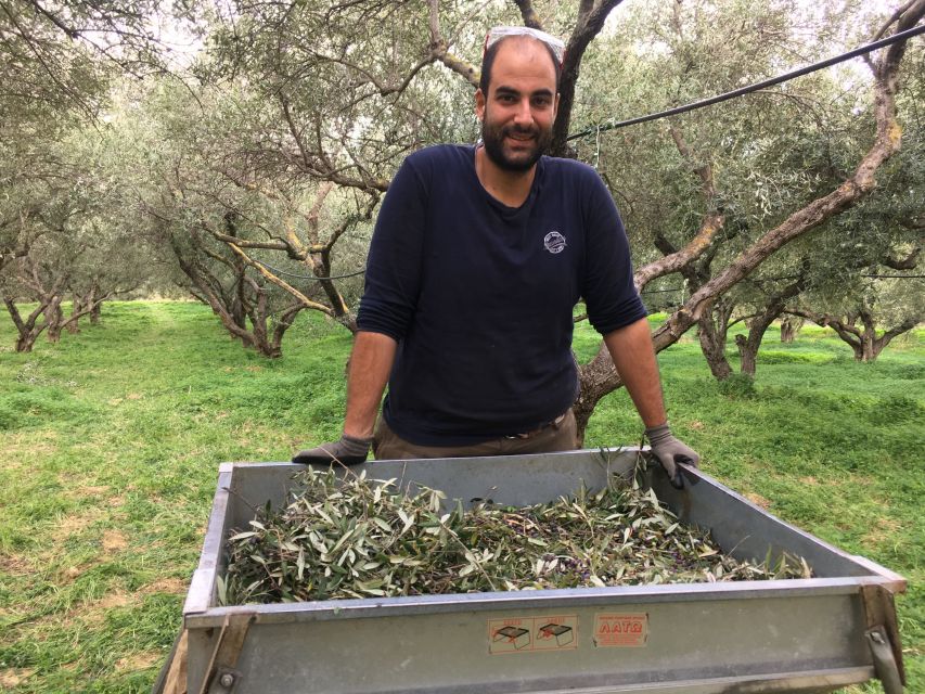 Chania Private Olive Oil Tour: Oil Tasting & Villages Tour - Historical Significance