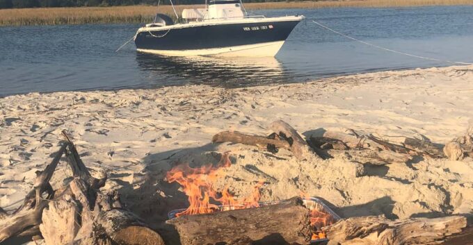 Charleston: Private Sightseeing & Dolphin Watching Boat Tour - Customized Adventure