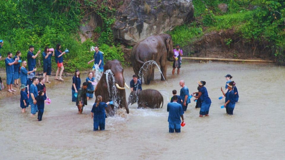 Chiang Mai: A Day in the Life of an Amateur Mahout - Transportation and Pickup