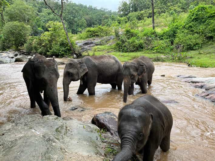 Chiang Mai: Doi Inthanon and Elephant Sanctuary Tour - Pricing and Availability