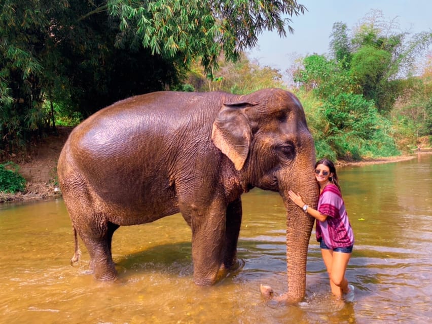 Chiang Mai: Doi Suthep Temple & Elephant Sanctuary Day Trip - Customer Reviews and Recommendations