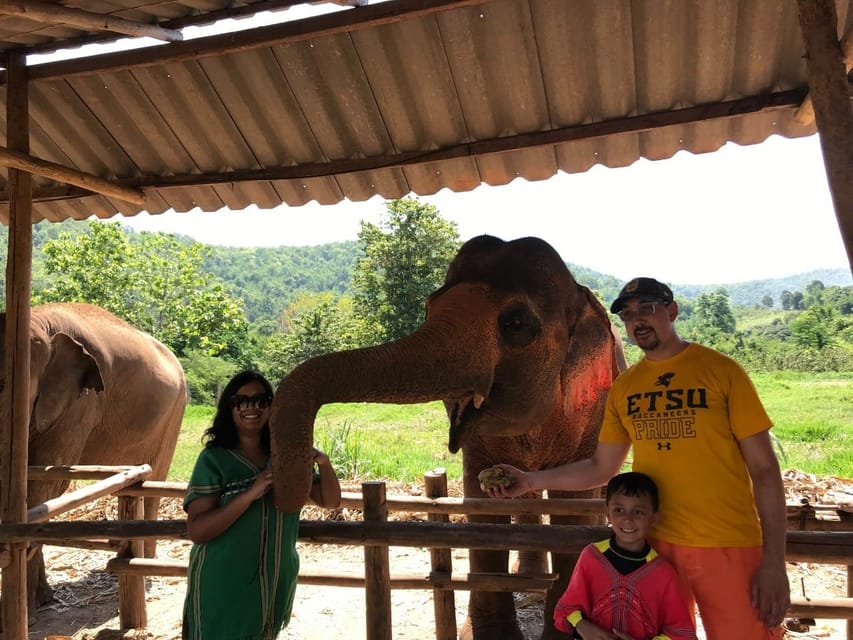 Chiang Mai: Elephant Feeding Experience, Hand Feed Elephants - Transportation and Location Details