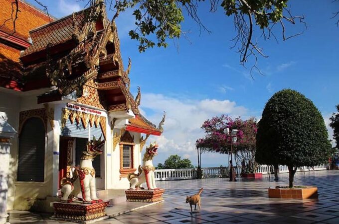 Chiang Mai Evening Tour WAT UMONG and DOI SUTHEP Temples - Frequently Asked Questions