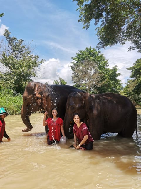 Chiang Mai: Full Day Elephant Eco Park Tour + Bamboo Rafting - Bamboo Rafting Adventure