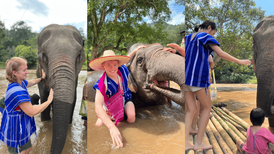 Chiang Mai: Half Day Walking With Giant Elephants - Local Culture and History