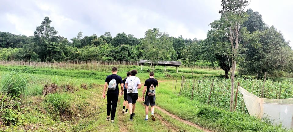 Chiang Mai: Highlight One Day Trekking & Elephant Care - Bamboo Rafting Adventure