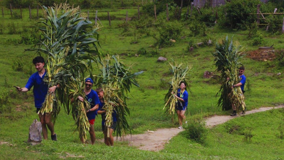 Chiang Mai: Living Green Elephant Sanctuary & Bamboo Rafting - Customer Feedback