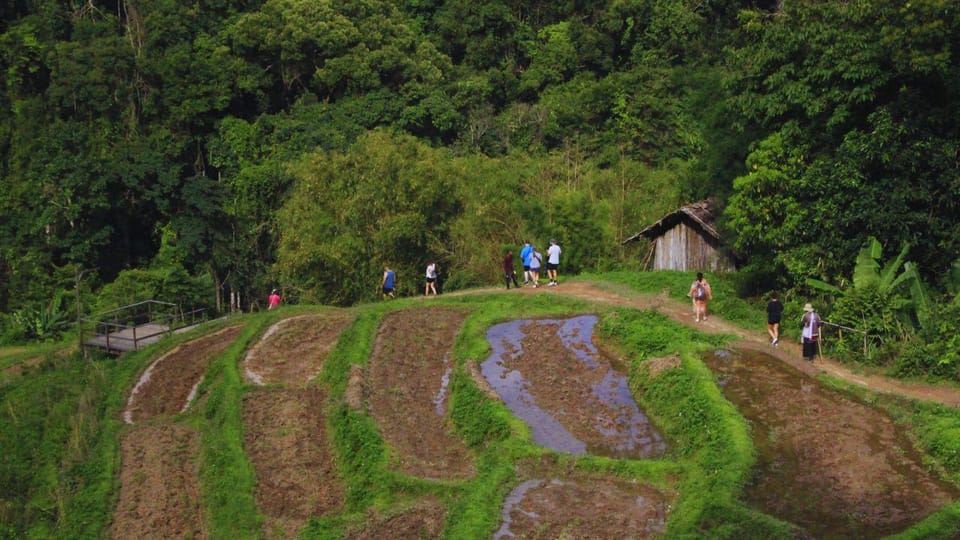 Chiang Mai: Living Green Elephant Sanctuary & Intanon Hiking - Visitor Information