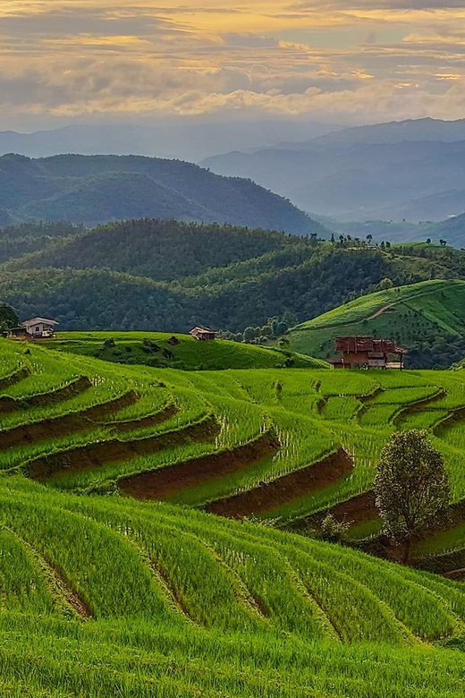 Chiang Mai : Pa Bong Piang Rice Terraces & Doi Inthanon - Phra Mahathat Naphamethanidon