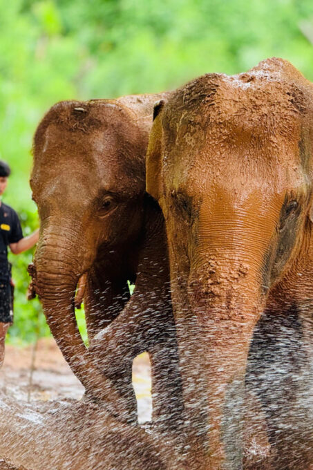 Chiang Mai : Temple , Nature and Culture in One Day. - Participant Requirements