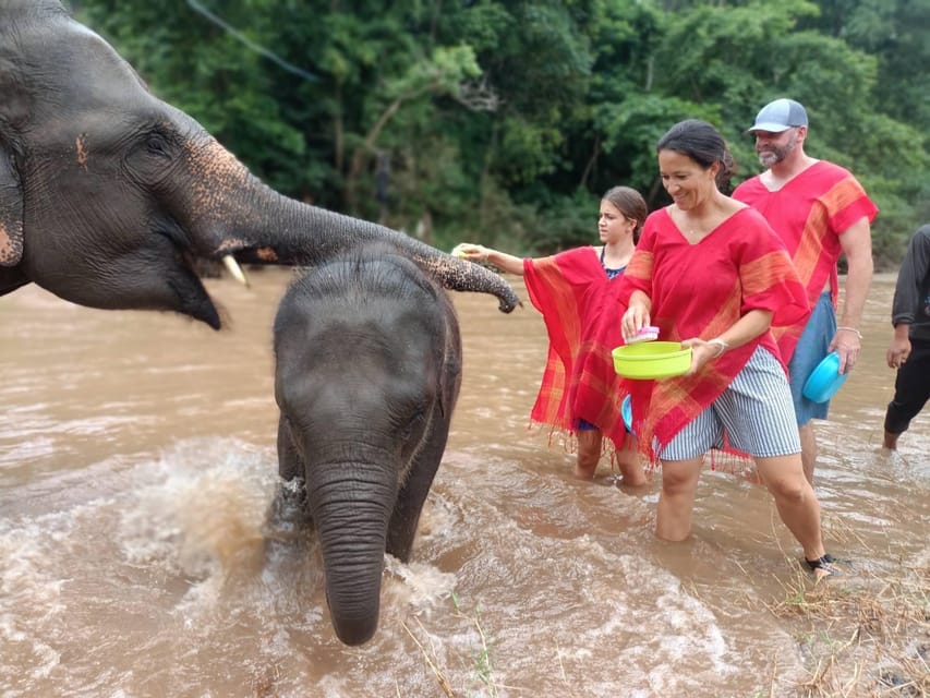 Chiang Mai : Trekking + Elephant Care - Important Notices