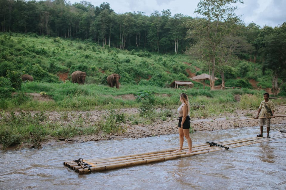 Chiang Mai: Two-day Temple of Elephants Sanctuary Tour - Reserve Now and Pay Later