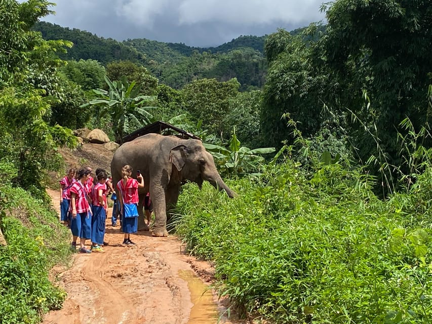 Chiang Rai:Experience the Way of the Elephants [Half-Day] - Cancellation Policy and Refunds