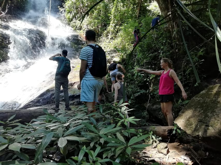 Chiangmai Sunrise Hike - Hiking Through Doi Suthep Pui