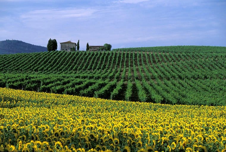 Chianti Half-Day Wine Tour Included Lunch and Tasting (5hrs) - Booking and Cancellation Policy