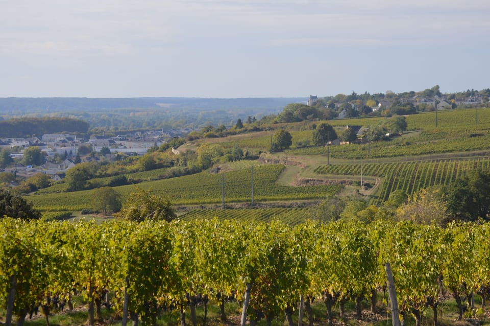 Chinon : Discovery Tours and Wine Tasting - Frequently Asked Questions