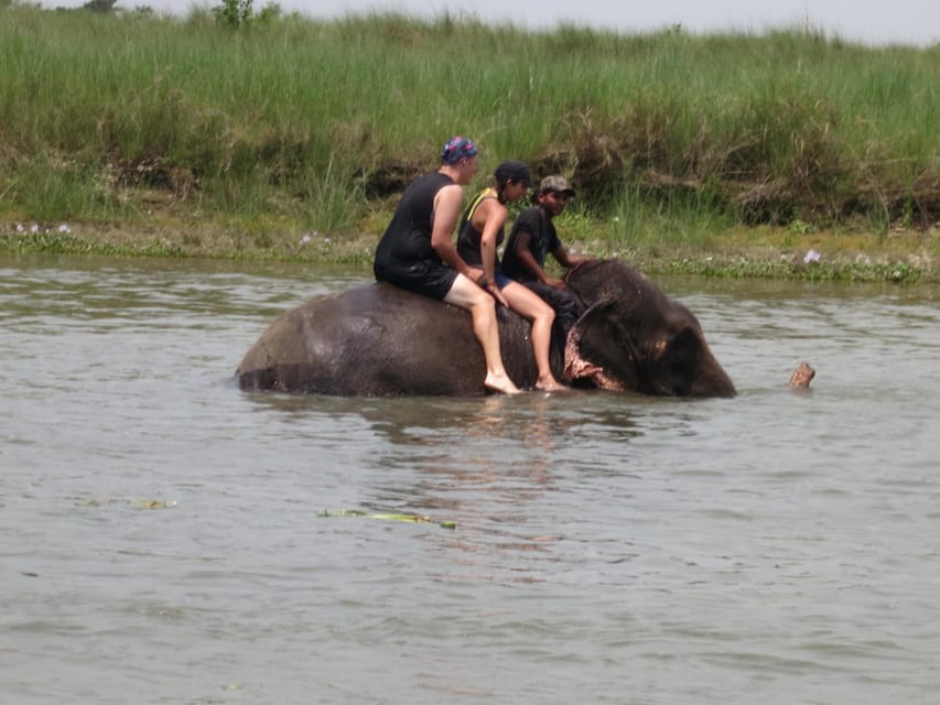 Chitwan Jungle Safari 2 Nights 3 Days - Travel Tips