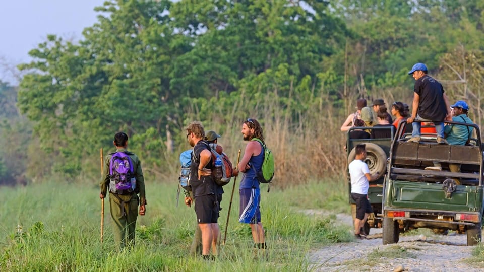 Chitwan National Park: Jeep Safari Tour With Guide - Important Safety Considerations