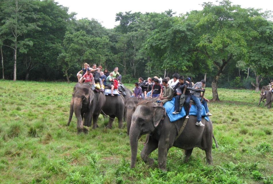 Chitwan National Park Luxury Tour - Transportation Details