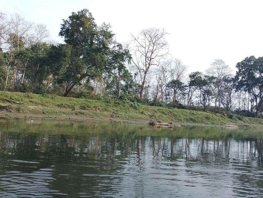 Chitwan: National Park Tower Night Stay Tour - Who Should Participate