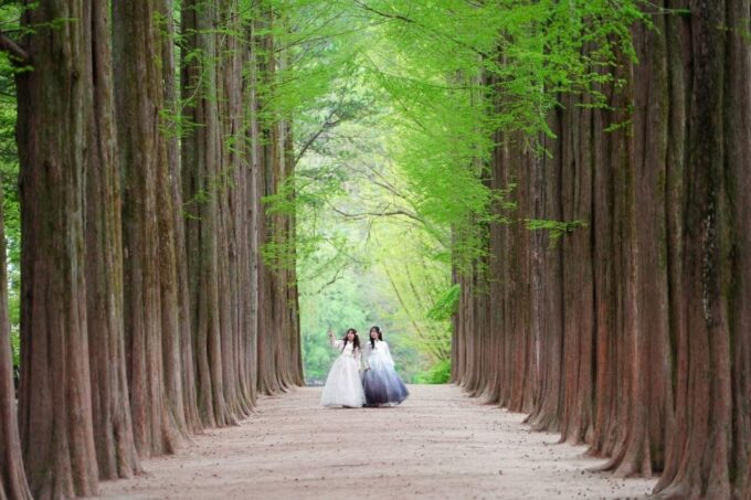 Chuncheon Hanbok Rental Experience - Photoshoot Opportunities