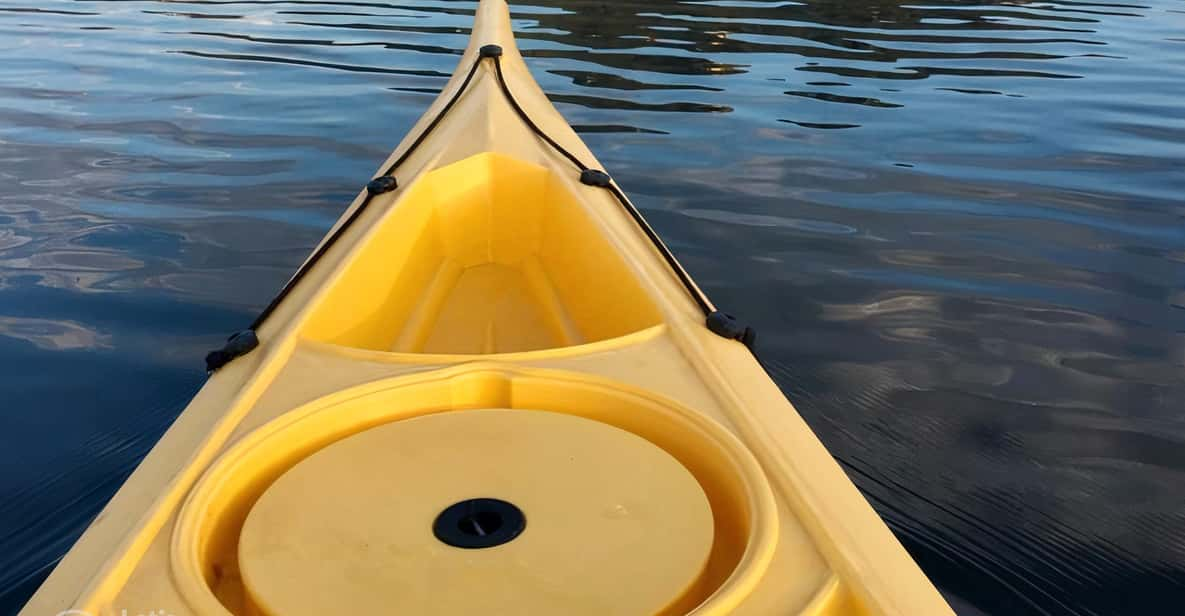 Circeo National Park:Guided Kayak Tour on the Lake Sabaudia - Preparation Recommendations