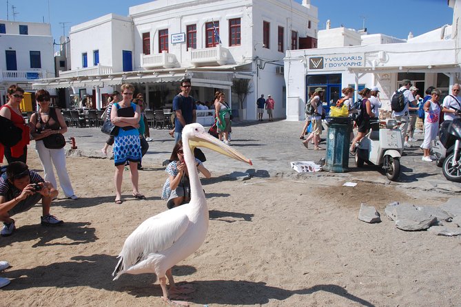 City & Island Tour - Visiting Ano Mera