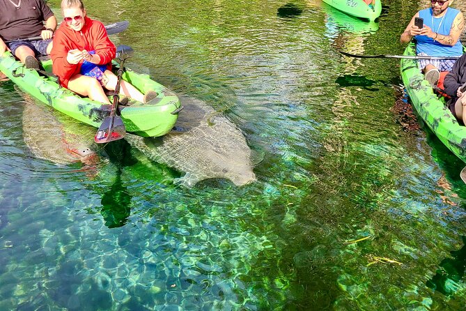 Clear Kayak or Paddleboard Manatee Adventure - Tips for Your Adventure