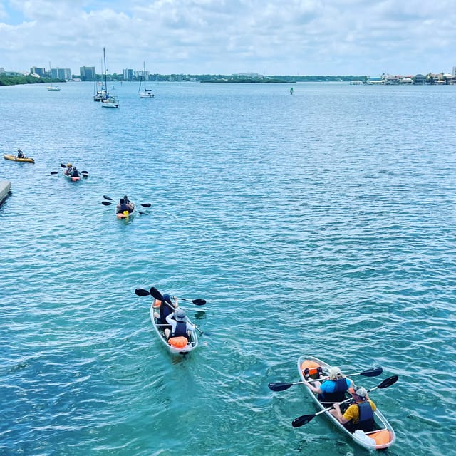 Clearwater: Guided Clear Kayaking Tour - Unique Kayaking Experience